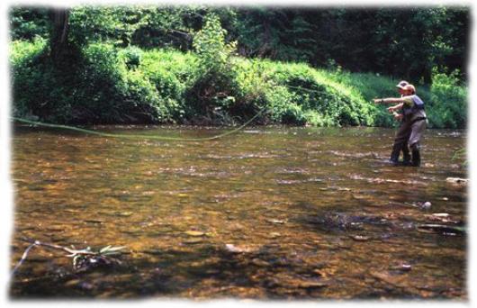 Peche de la truite a la mouche Avec un guide peche professionnel, vous etes initie à la peche a la mouche : le lancer, la lecture de la riviere, le choix des mouches, leur montage