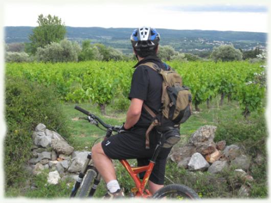 Découverte à vélo du vignoble coteaux du Languedoc