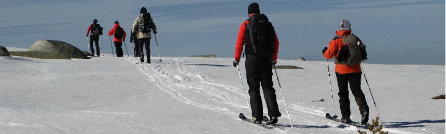 winter nature languedoc activitie