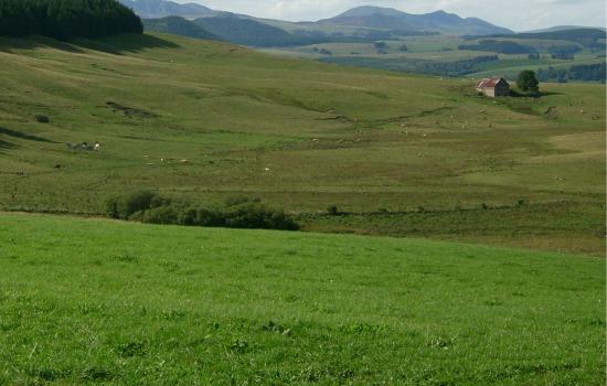 plateau du Cezallier