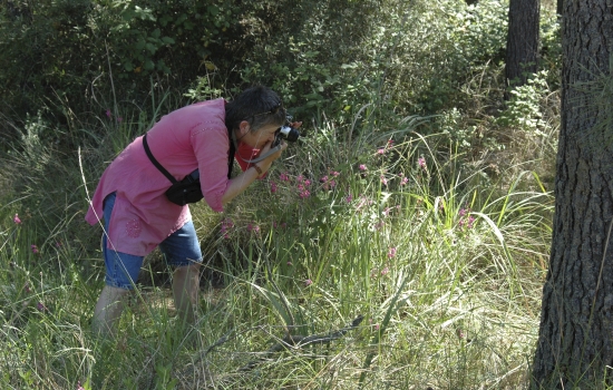 Approcher et photographier