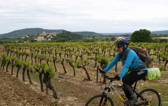 Balade à vélo entre vignes, garrigue et oliviers