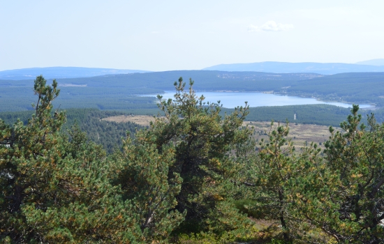 Lac Charpal lake in Margeride