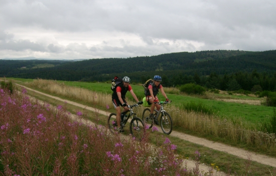 Montain bike across nature
