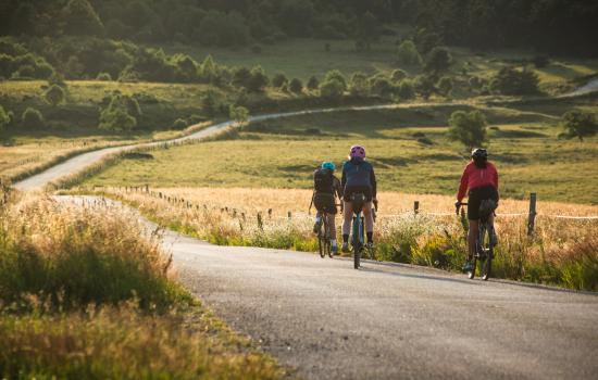 Gravel sur les petites routes du Cantal