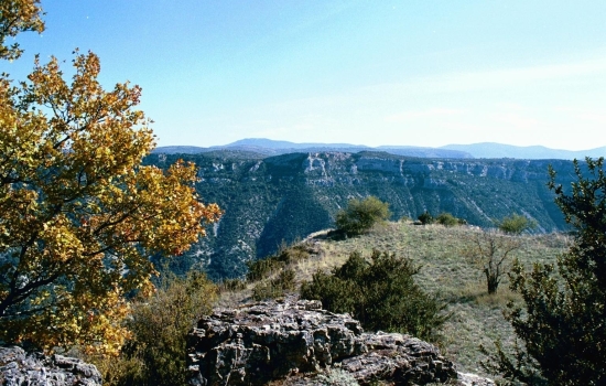 Vis Gorge separating Larzac and Blandas plateau