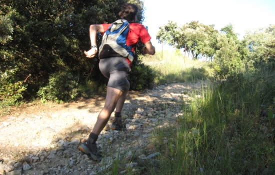 Trail en garrigue