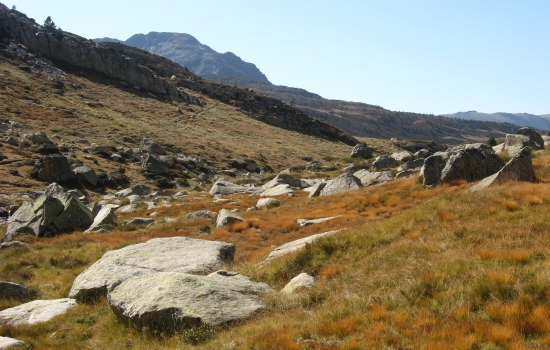 La montagne l'automne