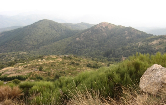 Montagnes cévenoles