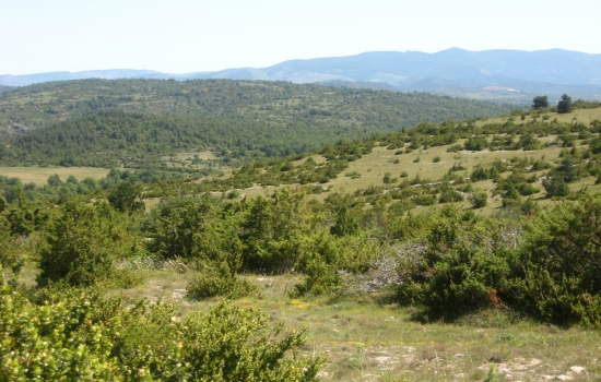 The vastness of the Causse