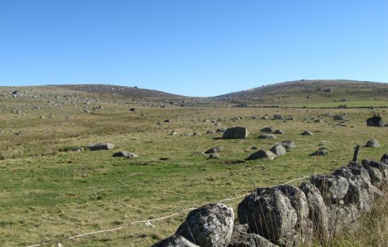 Murets de pierre de granit délimitant les prairies