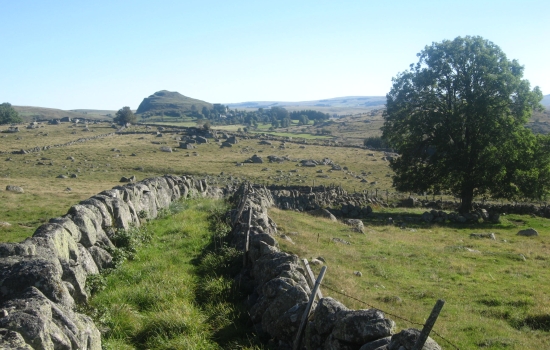 Aux abords du Lac de Born
