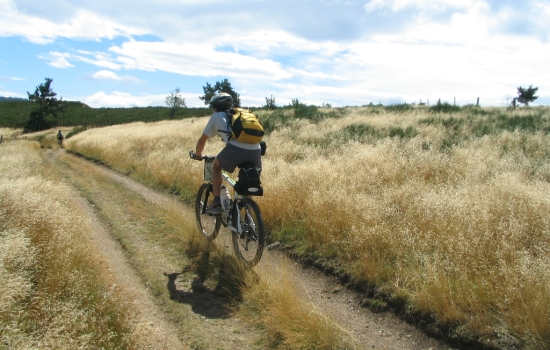 The Ardèche plateau