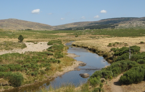Le Tarn au Mt Lozere