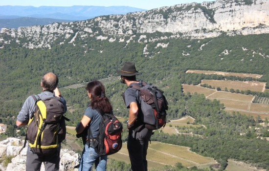L'Hortus en toile de fond