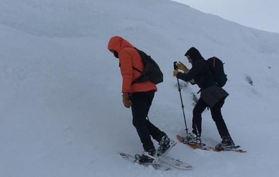 Nordic atmosphere in Aubrac