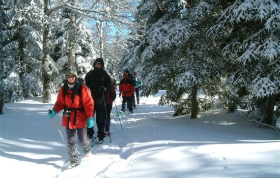 Parcours raquettes en famille