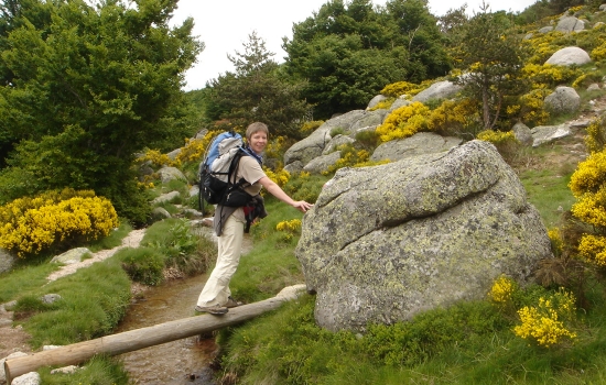 Sentier entre les blocs de granit