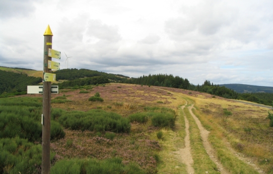 Sentiers de randonnée dans le Parc Naturel régional des Monts d'Ardèche