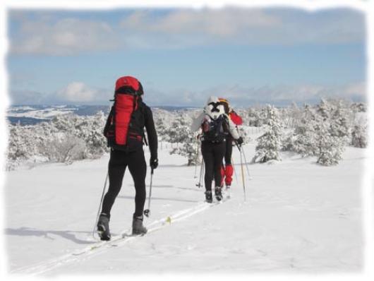 Grand raid nordique parcourant les cretes d'altitude de Margeride et du Mont Lozere