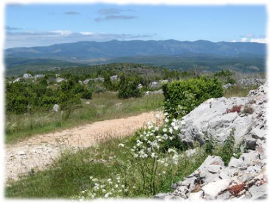 Panorama sur les Cévennes voisines