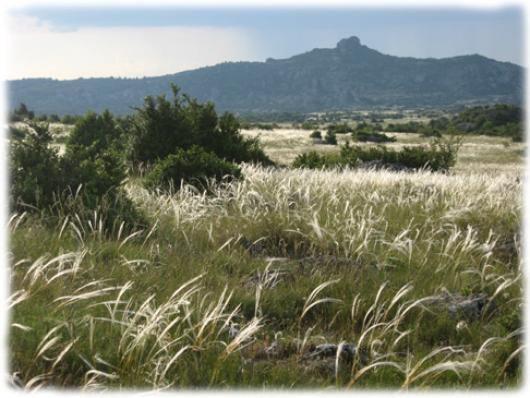 Parcours de découverte à travers le causse du Larzac