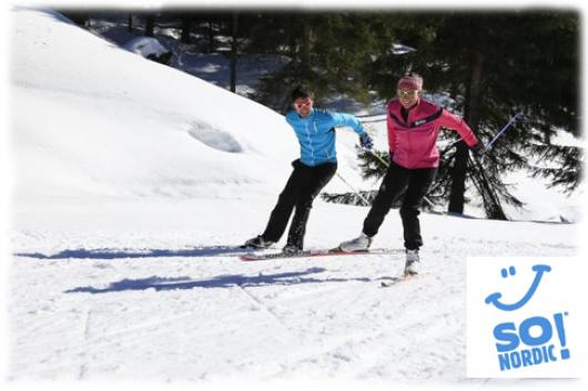 séjour ski de fond initiation ou perfectionnement, pas alternatif, skating, pas du patineur