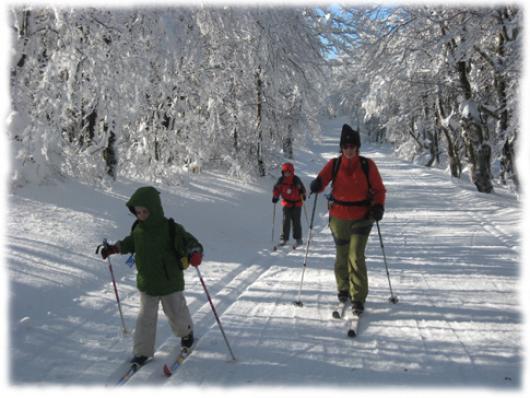Les plateaux et grands espaces du Massif Central sont des sites privilégiés pour s'initier aux activités nordiques comme le ski de fond