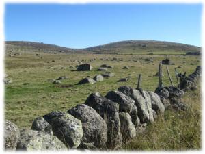 Les paysages de l'Aubrac ne laissent jamais indifferents: les prairies bordees de murets de granit, les vaches Aubrac et leurs longues cornes, superbes hetraies