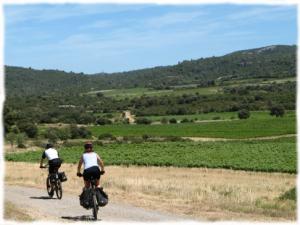 A vélo dans le vignoble du Languedoc